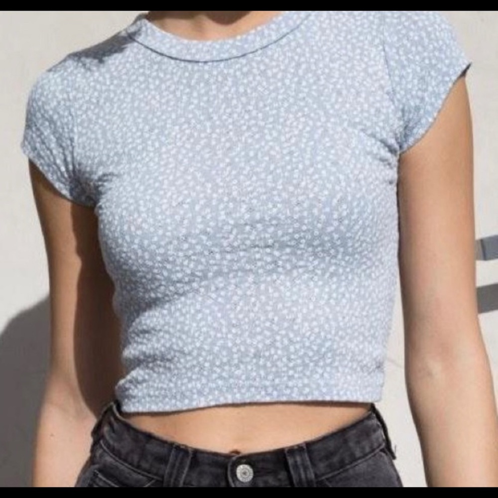 Brandy Melville - Blue Floral Ashlyn Top